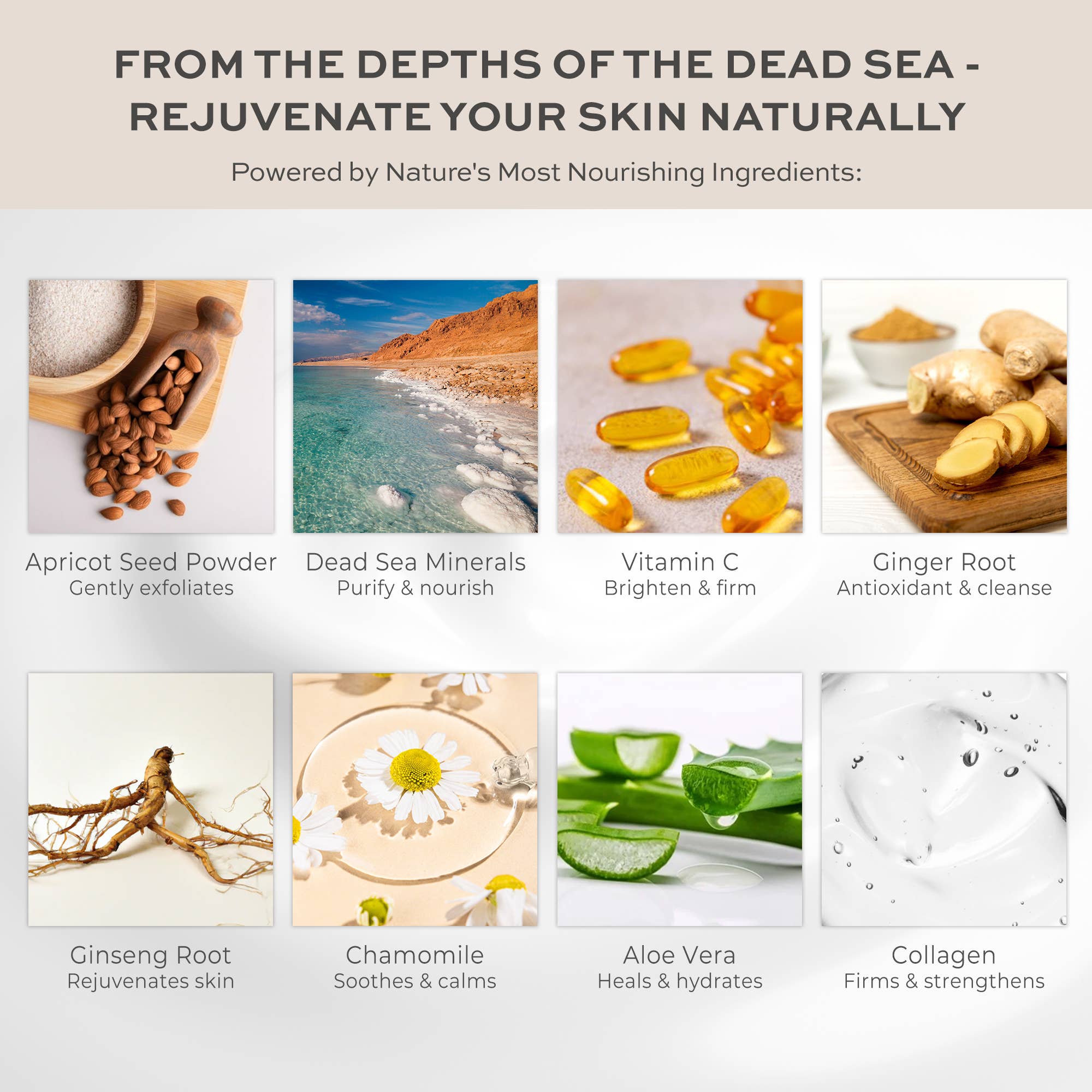 Deep Pore Facial Exfoliant