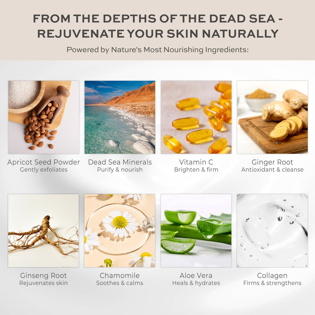 Deep Pore Facial Exfoliant