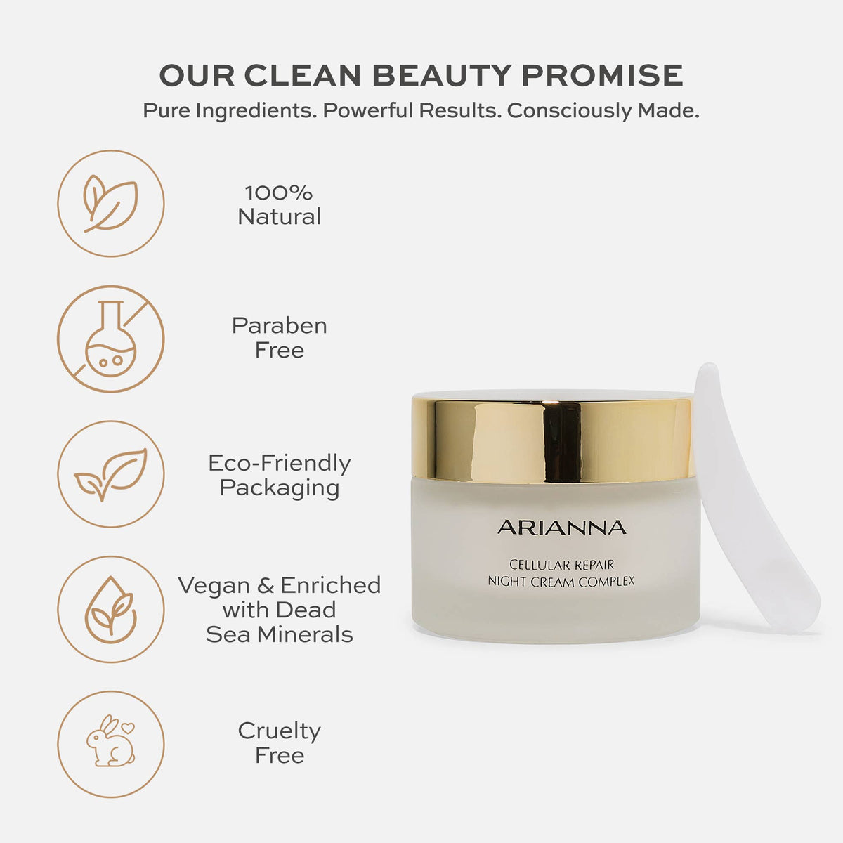 Cellular Repair Night Cream Complex